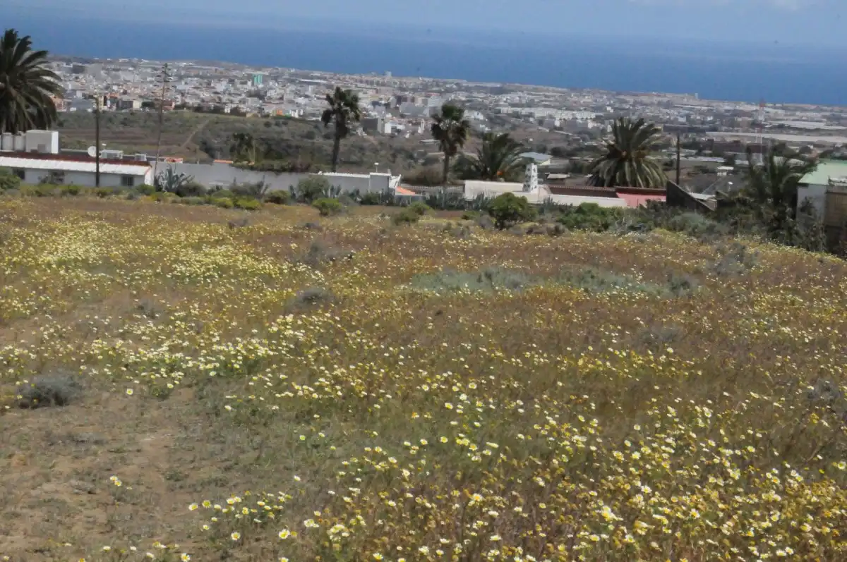 Rural land for sale in Valle de los Nueve - El Ejido - Medianías