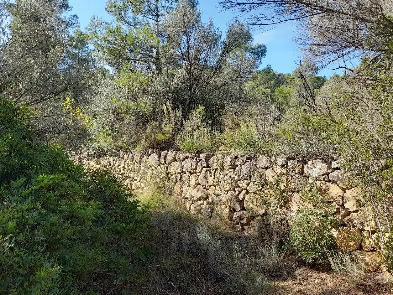 Land for sale in La Palma d'Ebre