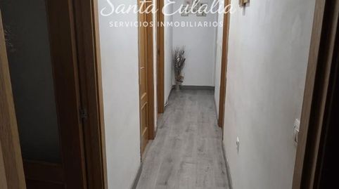 Foto 5 de Pis en venda a Norte, Mérida