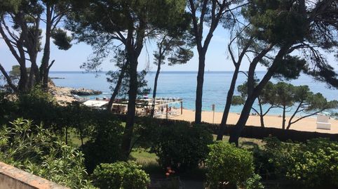Platja dAro  Exclusiva parcela con masía histórica frente al mar en Cala Rovira, imatge 5