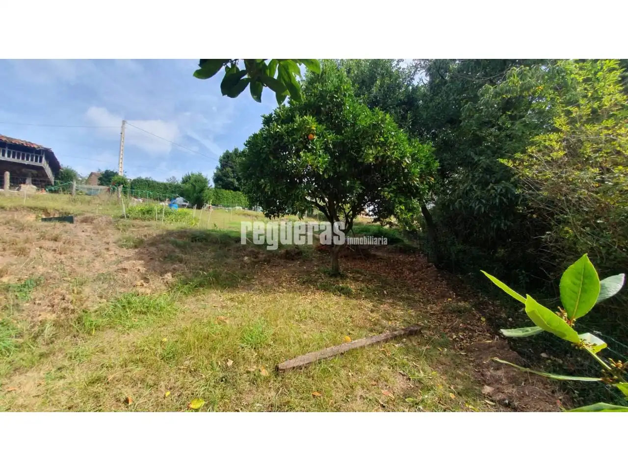 Lands and plots for sale in Magdalena, imagen 6