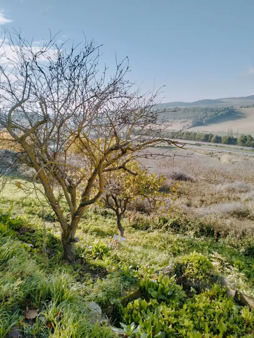 Land for sale in Tiebas-Muruarte de Reta