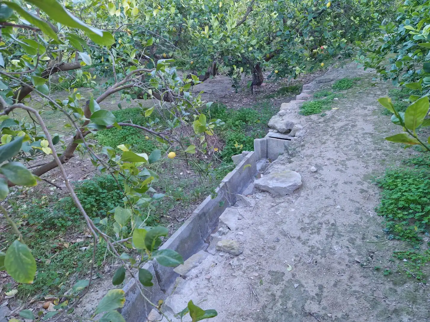 Land for sale in Villanueva del Río Segura
