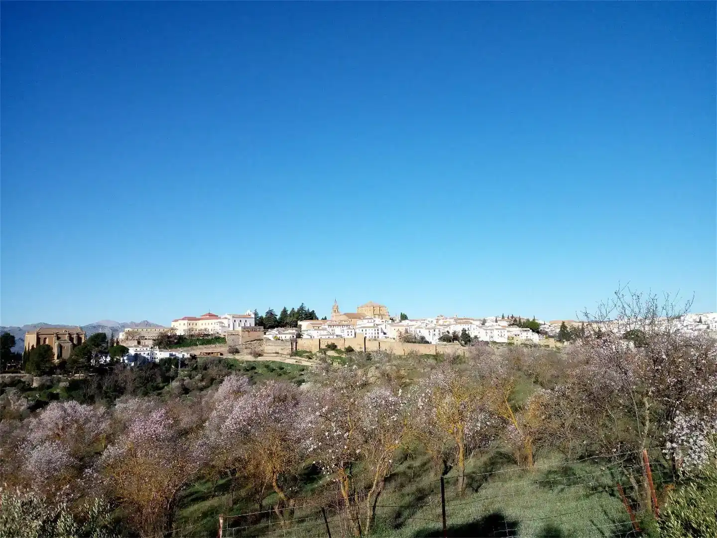 Vista exterior de Finca rústica en venda en Ronda