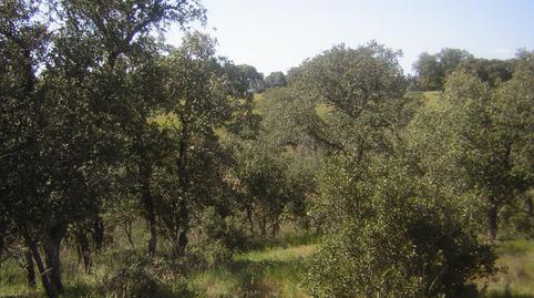 Foto 3 de Finca rústica en venda a Nombela, Toledo