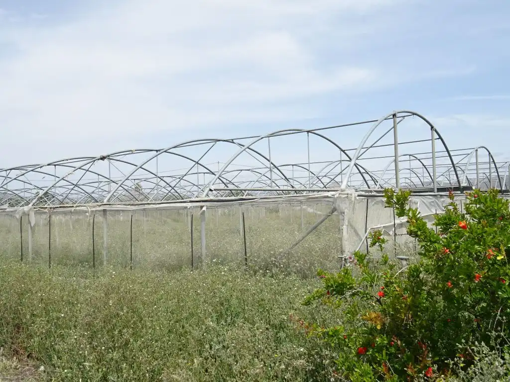 Garden of Country homes for sale in Aspe