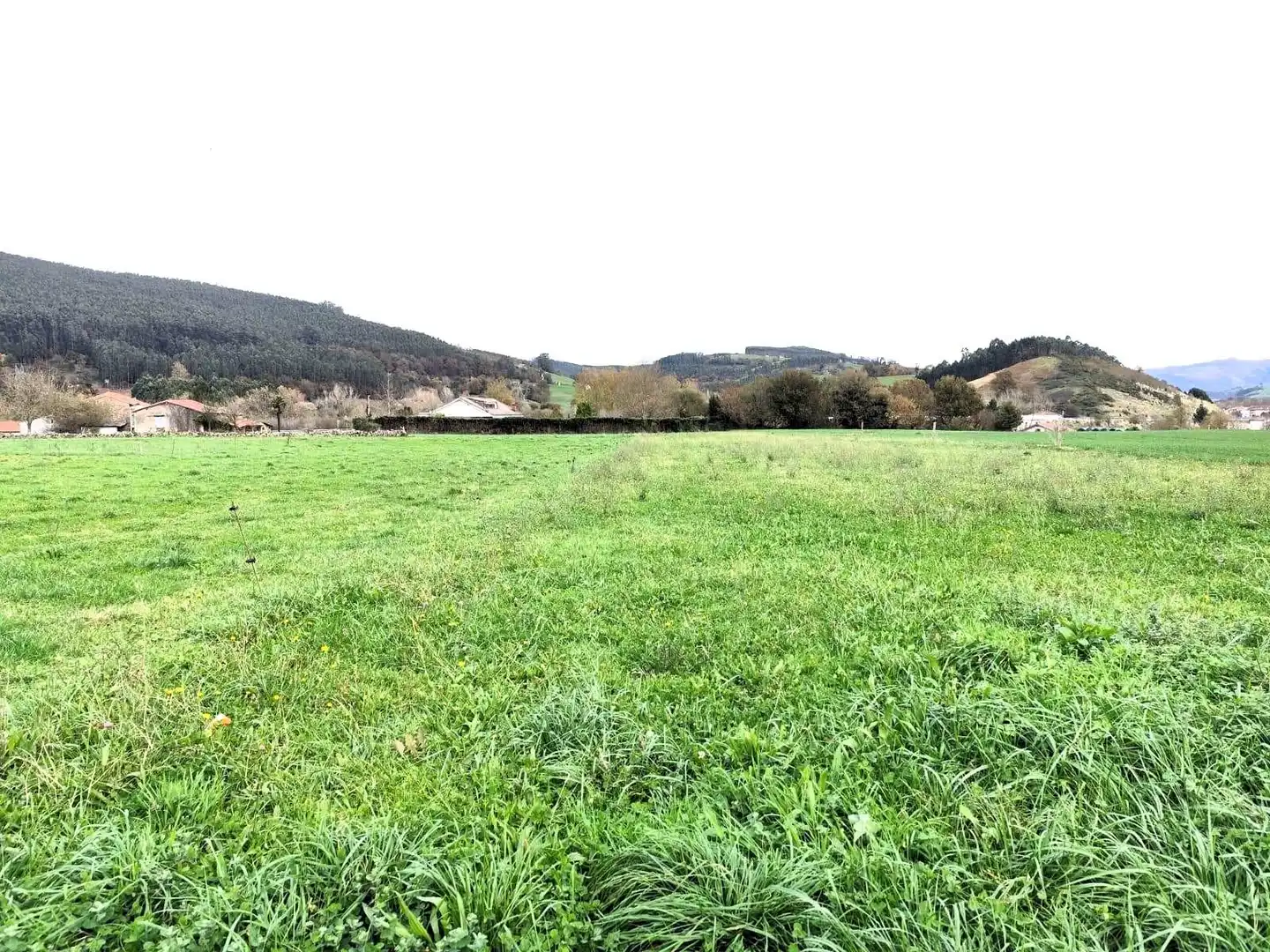 Grundstücke und Bauplätze zum Verkauf in Castañeda, imagen 6
