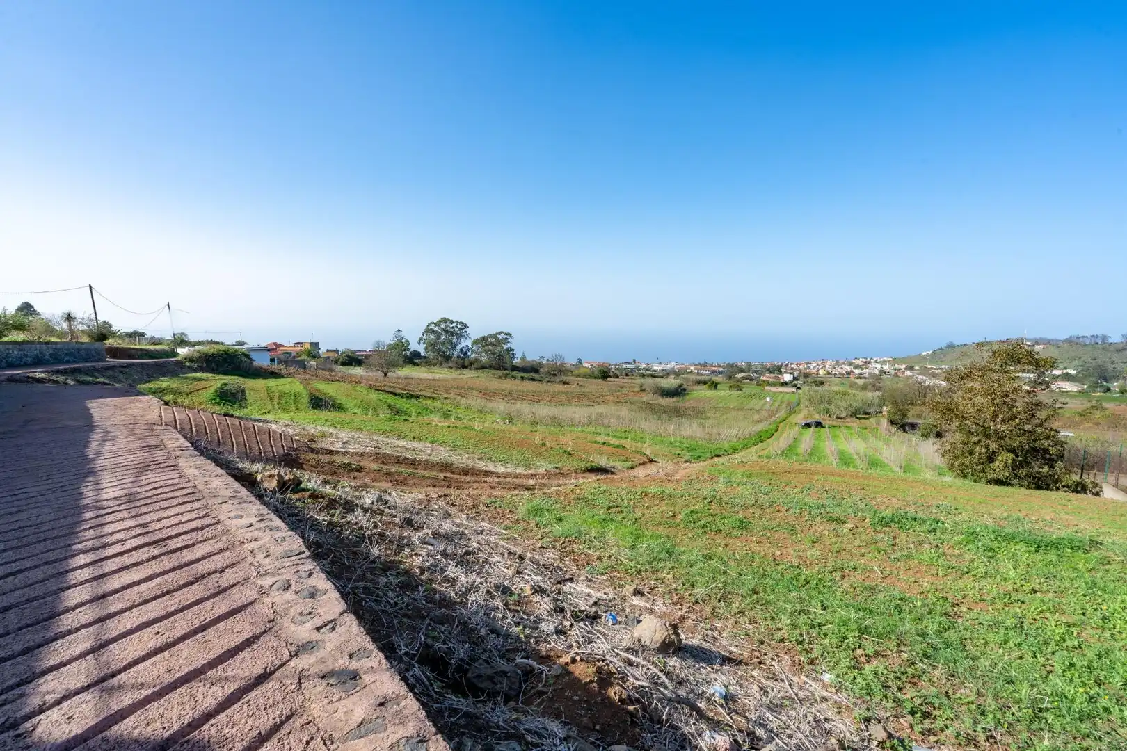 Land for sale in Tacoronte