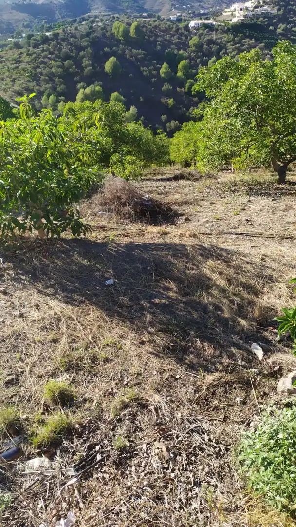 Rural land for sale in Frigiliana, imagen 4