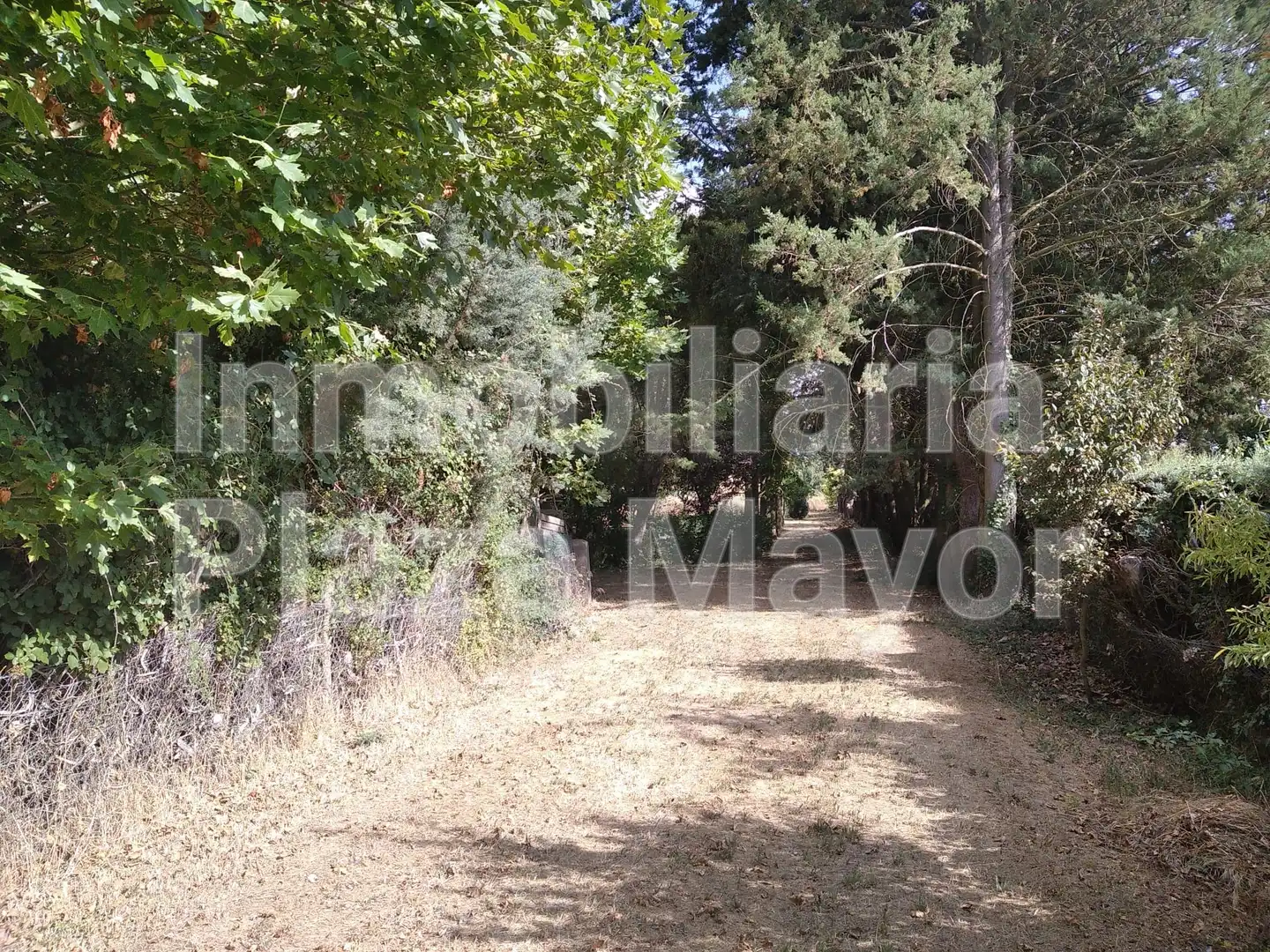 Rural land for sale in Villamayor, imagen 3