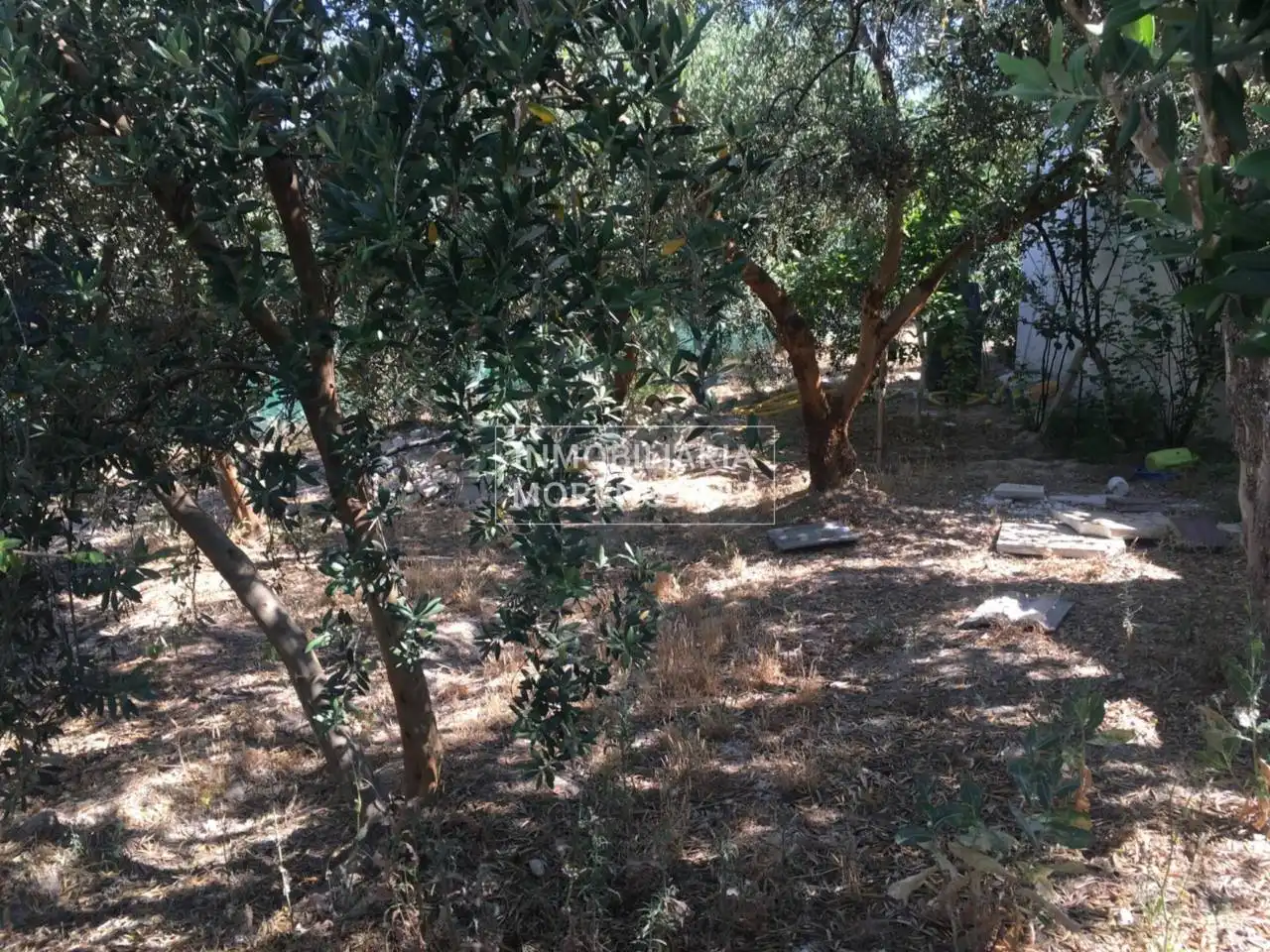 Xalet en venda a Baena, imagen 11