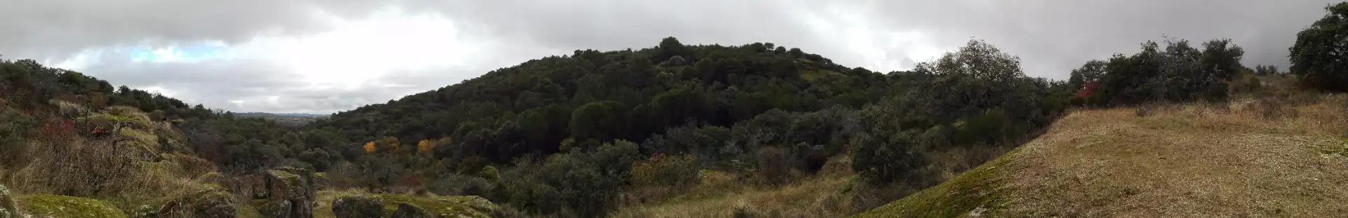 Rural land for sale in Cadalso de los Vidrios, imagen 24