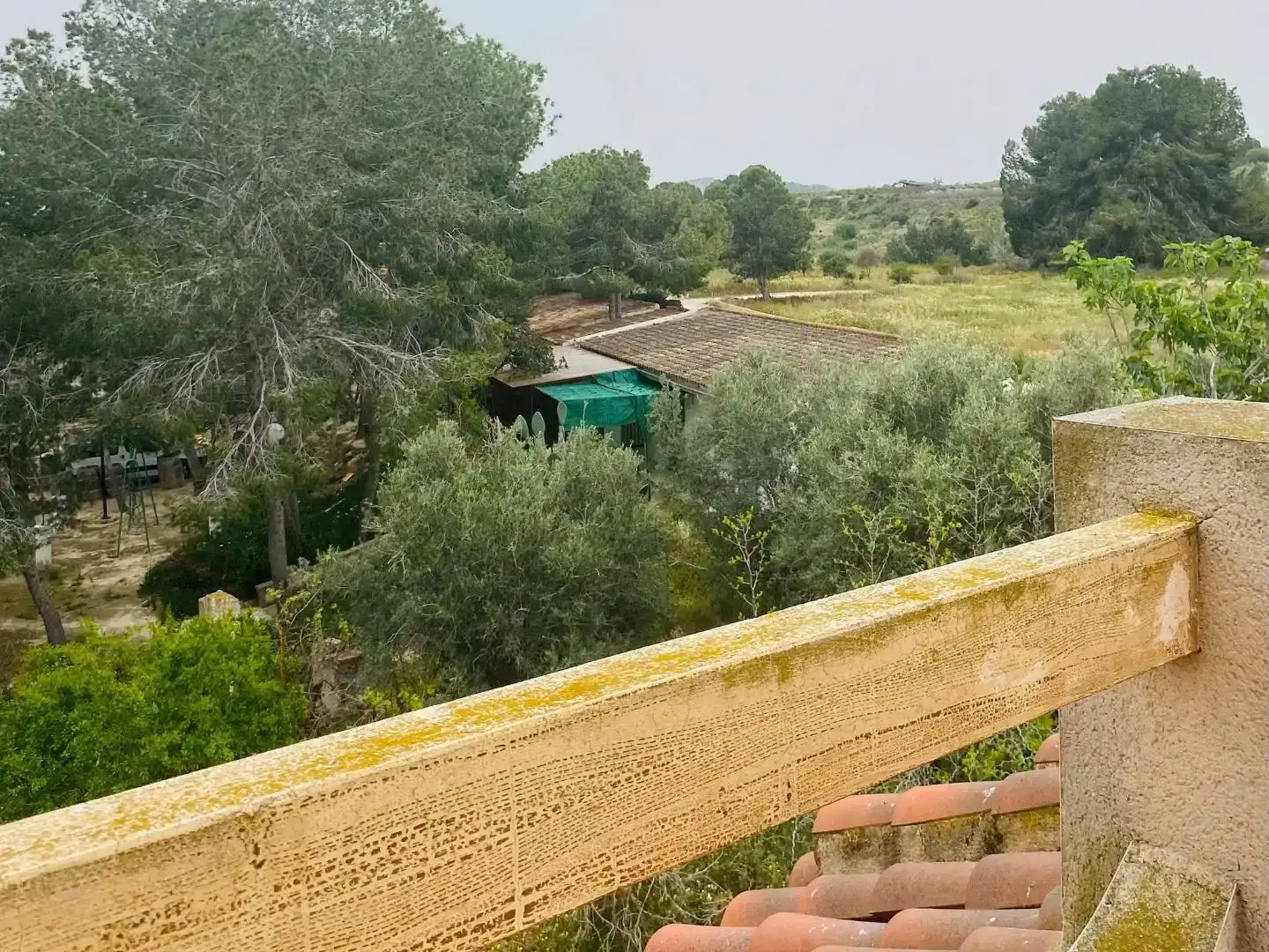 Jardí de Casa o xalet en venda en Bigastro amb Piscina i Balcó