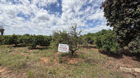 Photo 2 of Land for sale in Rafelguaraf, Valencia