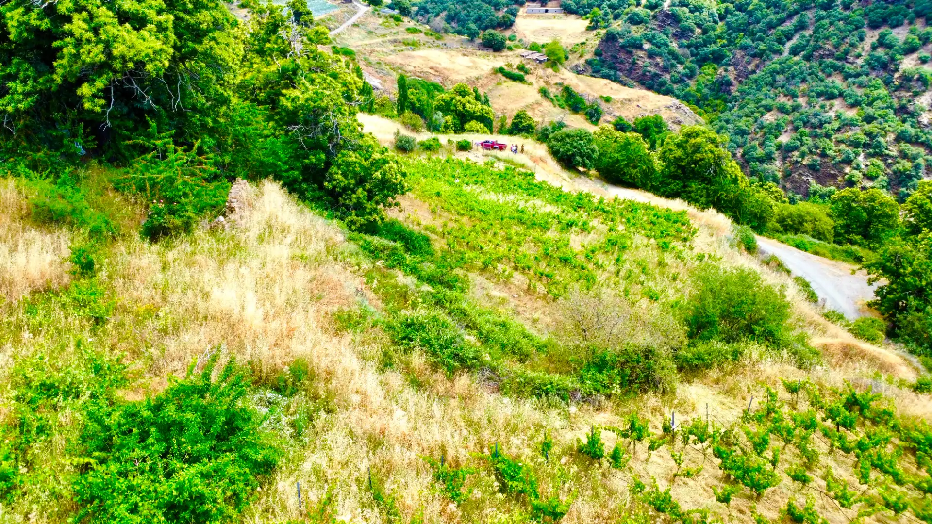 Terreni e lotti in vendita a Alpujarra de la Sierra, imagen 38