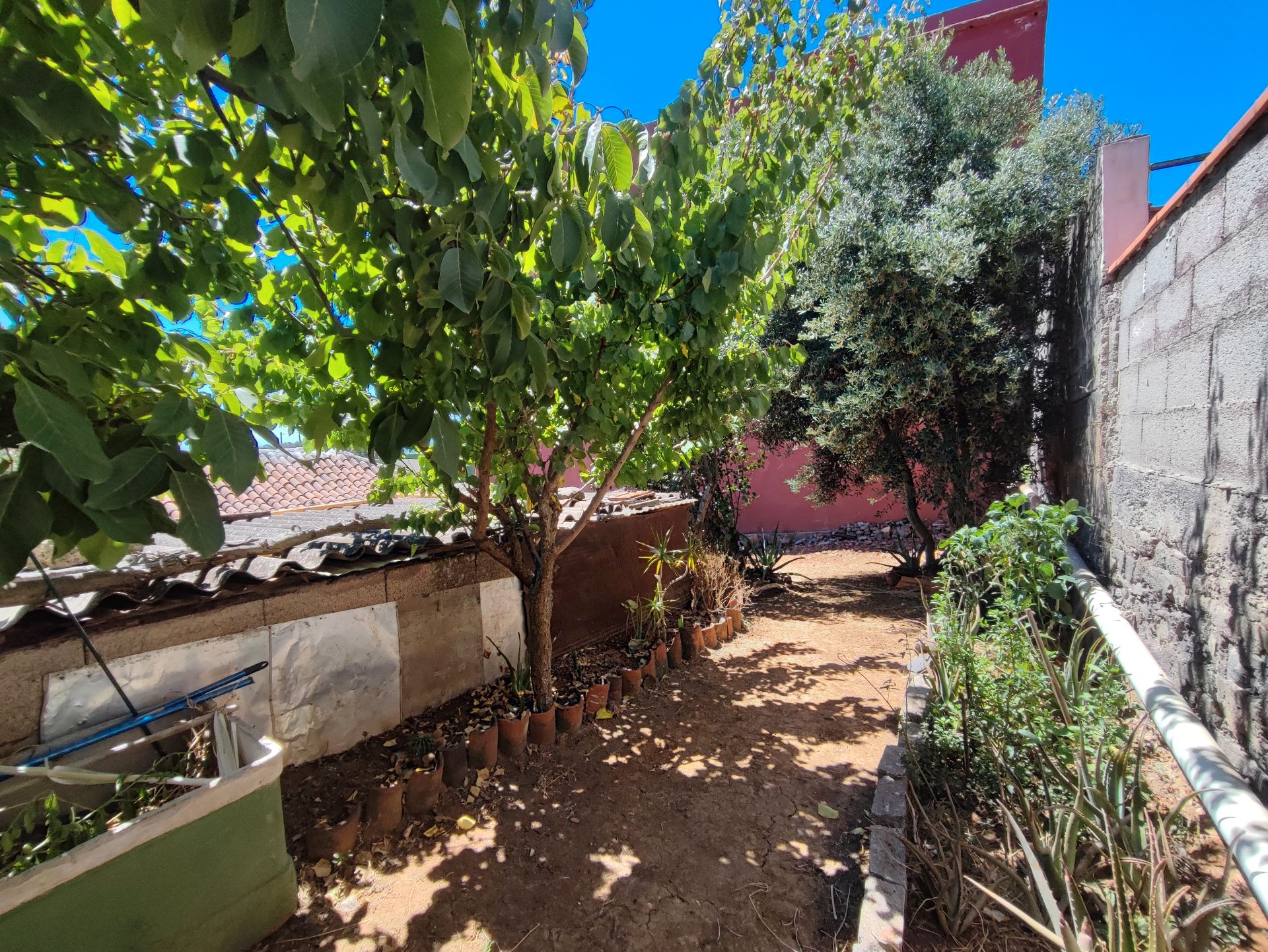Jardí de Finca rústica en venda en El Rosario amb Jardí privat, Terrassa i Traster
