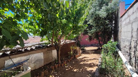 Photo 3 of Country homes for sale in Calle Elias Vera, 9, La Esperanza - Llano del Moro, El Rosario