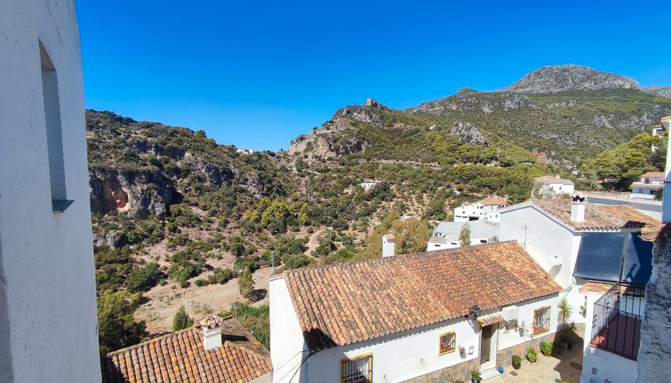 Foto 1 de Apartament de lloguer a Calle Camachas, 63, Casares pueblo, Málaga