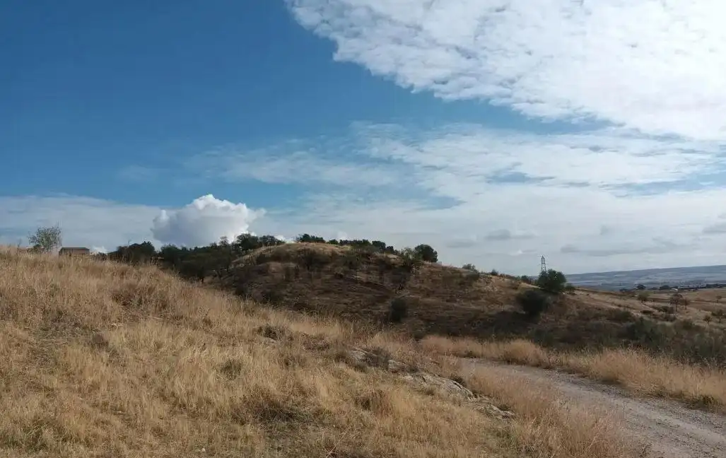 Terreno rustico in vendita a El Molar (Madrid), imagen 5