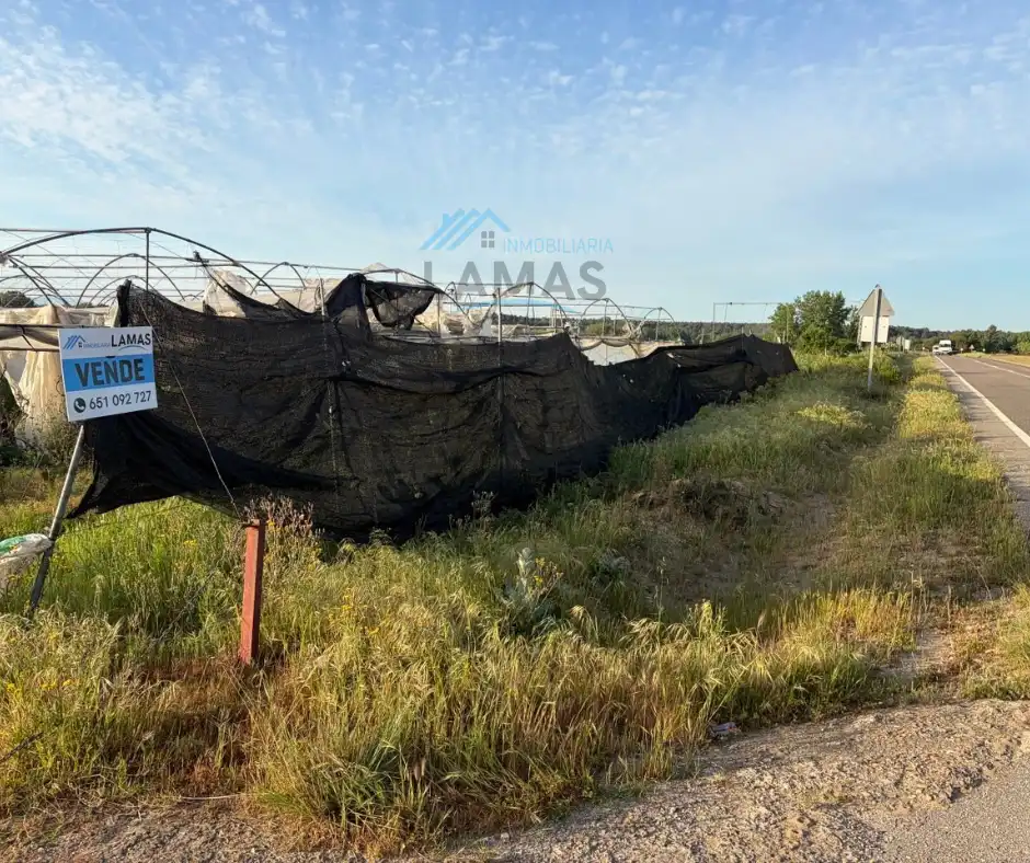 Finca rústica en venta en Cuacos de Yuste