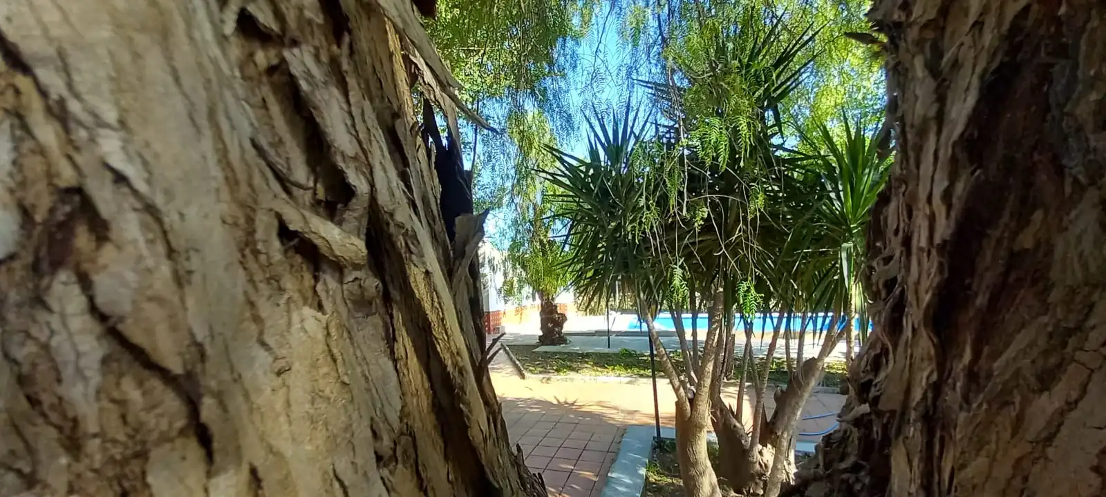 Jardín de Finca rústica en venta en Alcalá de Guadaira con Aire acondicionado, Calefacción y Jardín privado