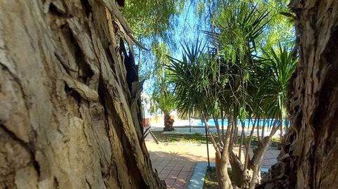 Foto 2 de Finca rústica en venta en Urbanizacion Privada Matachica, 74, Oromana, Alcalá de Guadaira