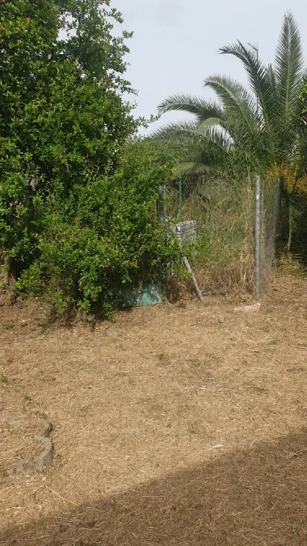 Casa en venda a Parque de la Constitución 5A, imagen 3