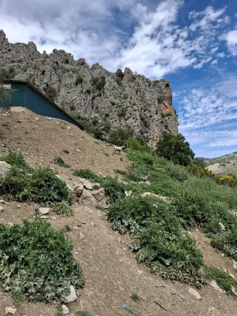 Terreni e lotti in vendita a Alfarnatejo, imagen 12