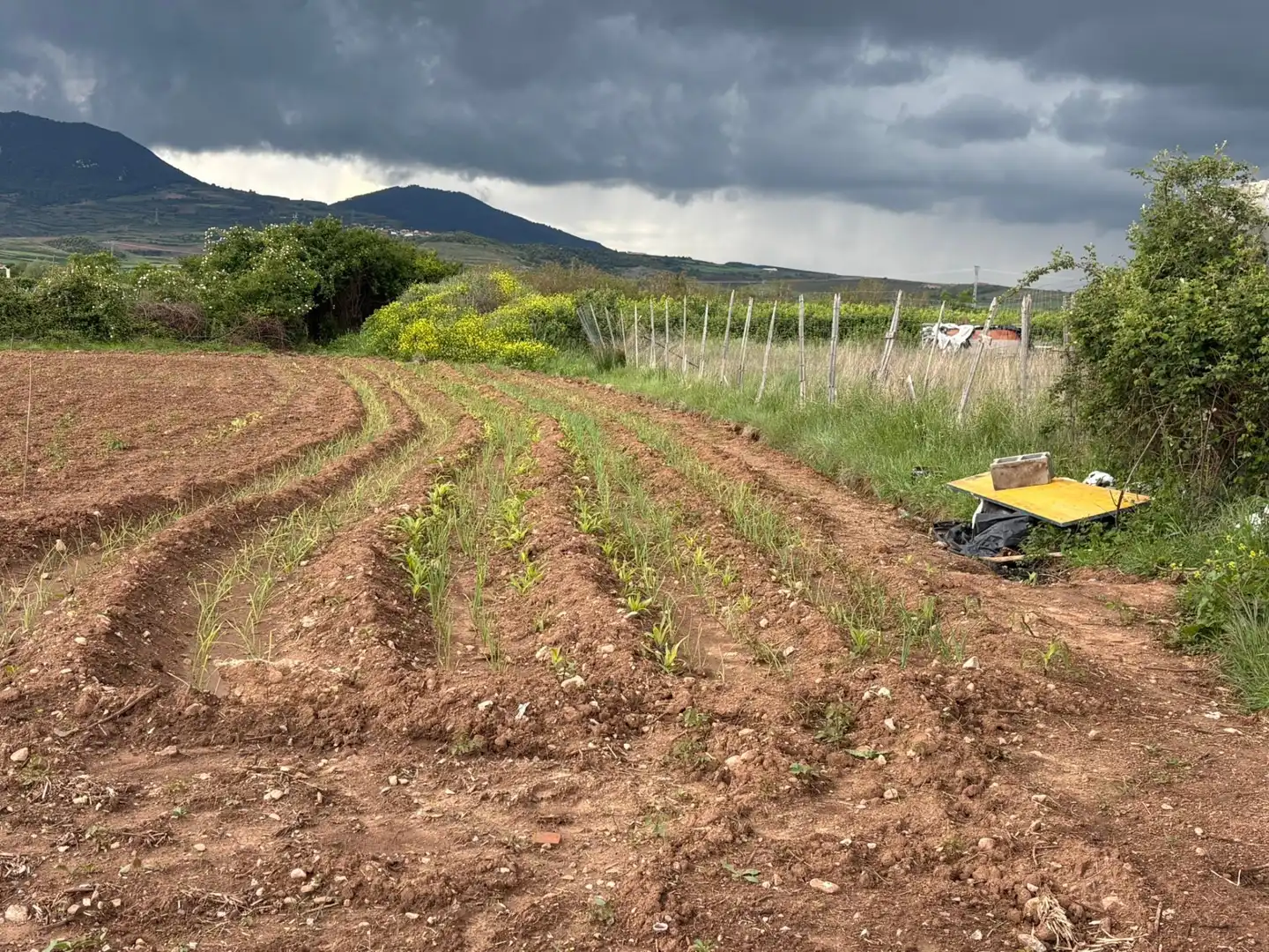 Terrenys i solars en venda a Alberite