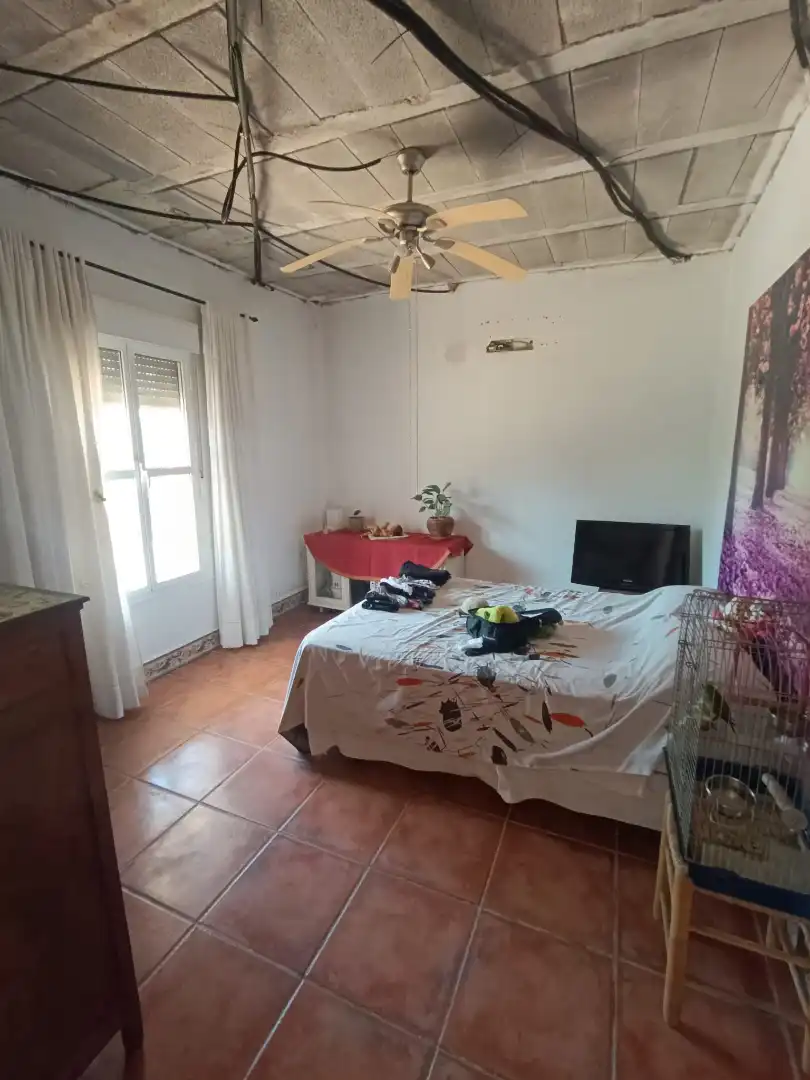 Sala de estar de Casa o chalet en venta en Pilas con Jardín privado y Piscina