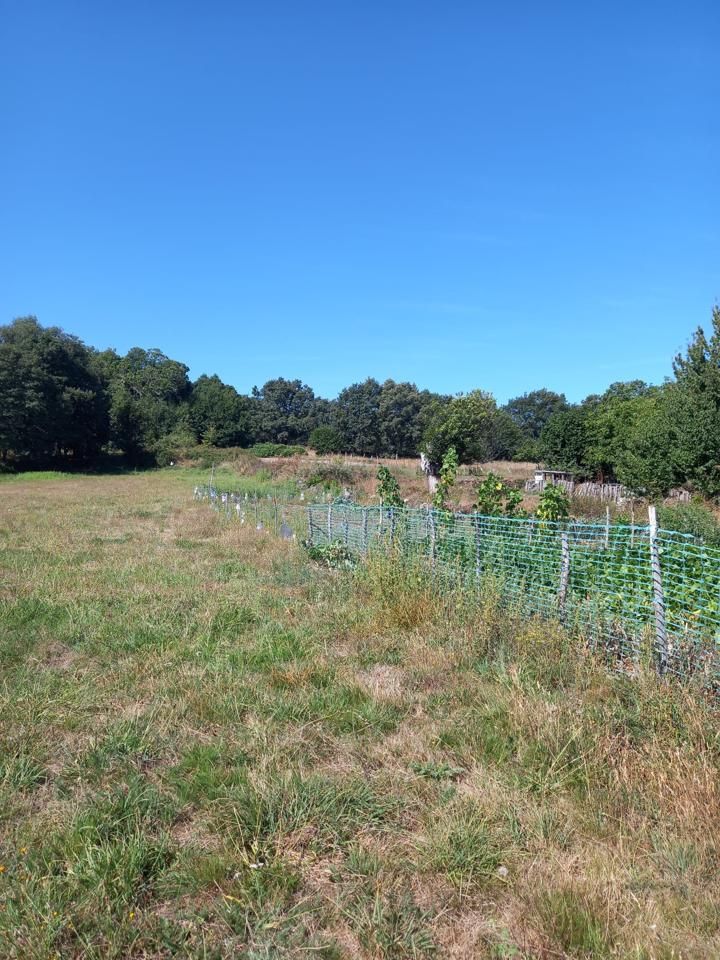 Casa o chalet en venta en A Pobra de Trives 