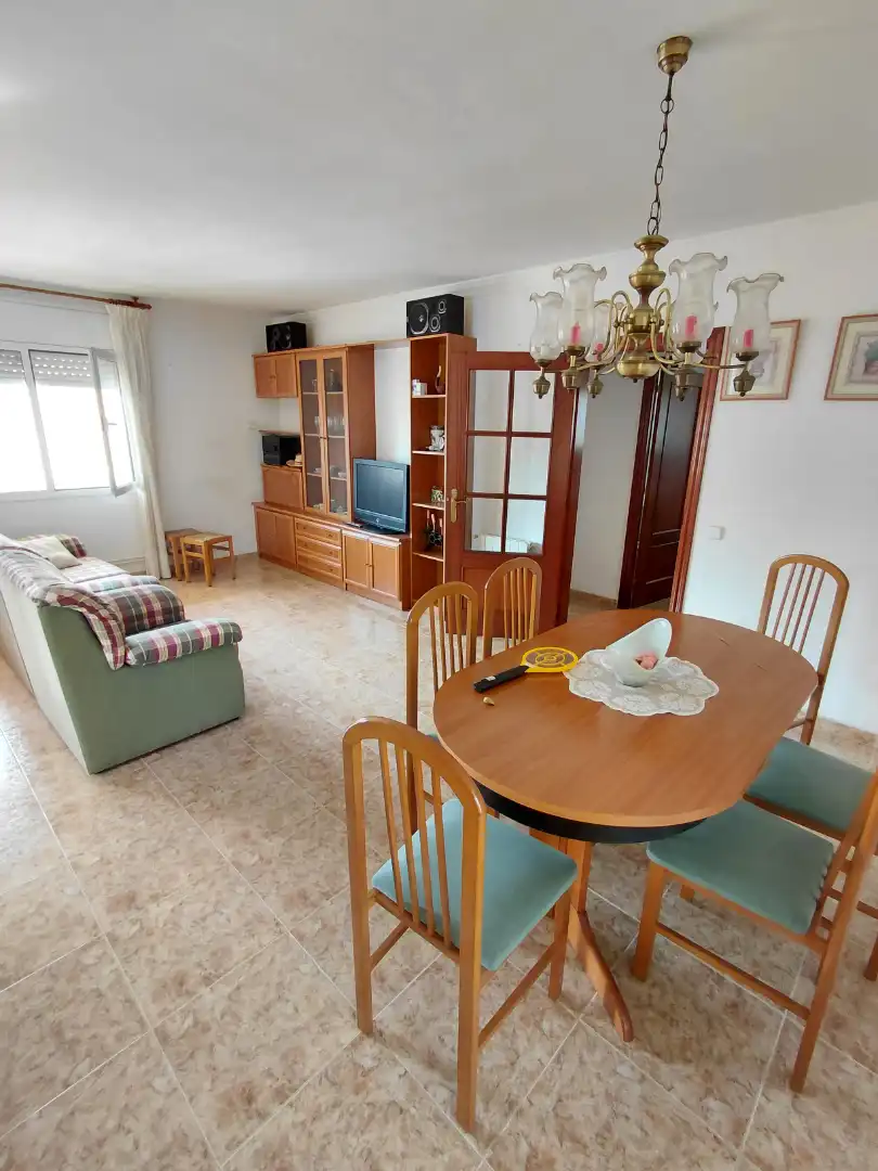 Sala d'estar de Casa o xalet en venda en El Vendrell amb Calefacció, Jardí privat i Traster