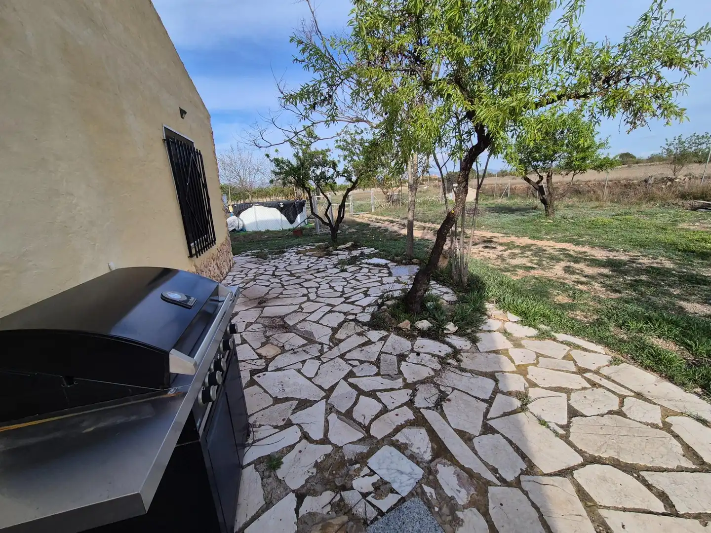 Jardín de Casa o chalet en venta en Salinas