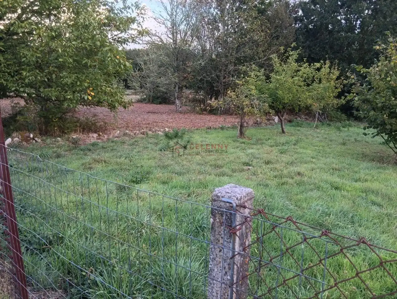 Rustikales Grundstück zum Verkauf in Amoeiro, imagen 7