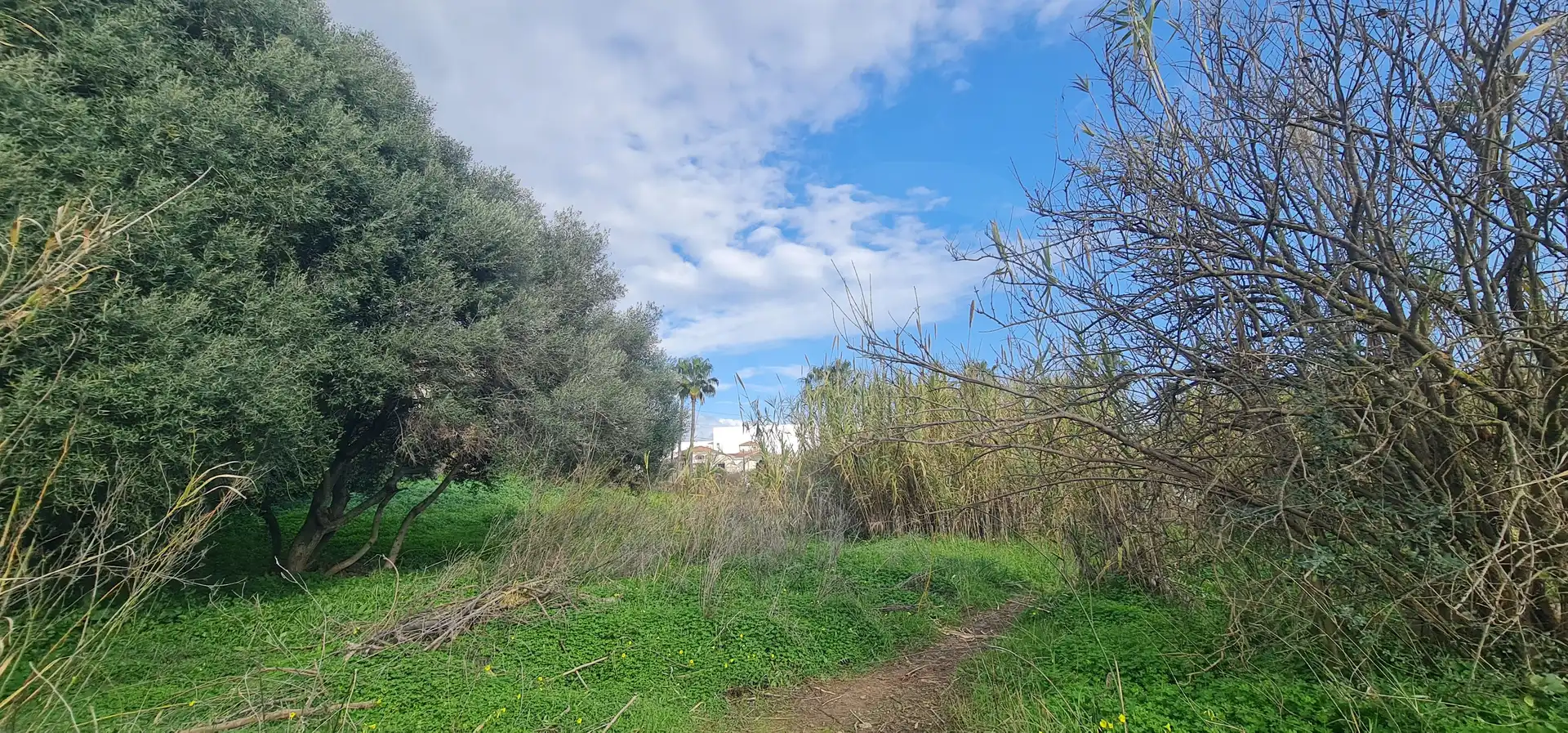 Terreno residencial en venta en Campo de Mijas, imagen 3