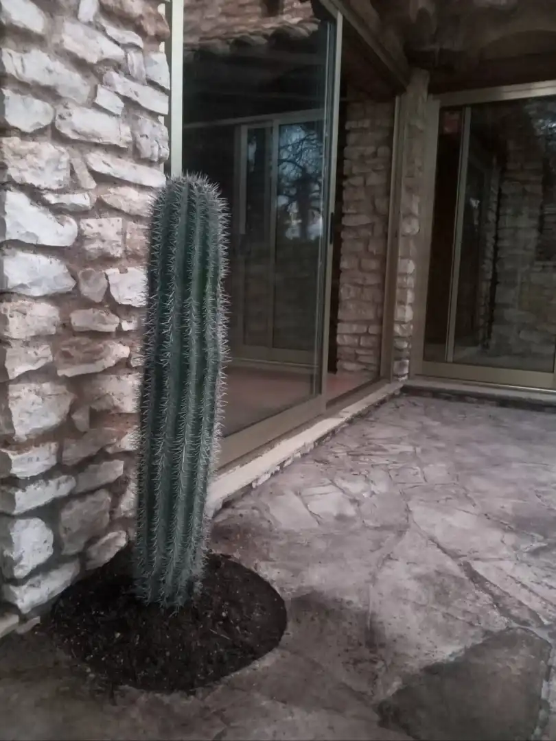 Jardín de Casa o chalet en venta en L'Ametlla de Mar  con Calefacción, Jardín privado y Terraza