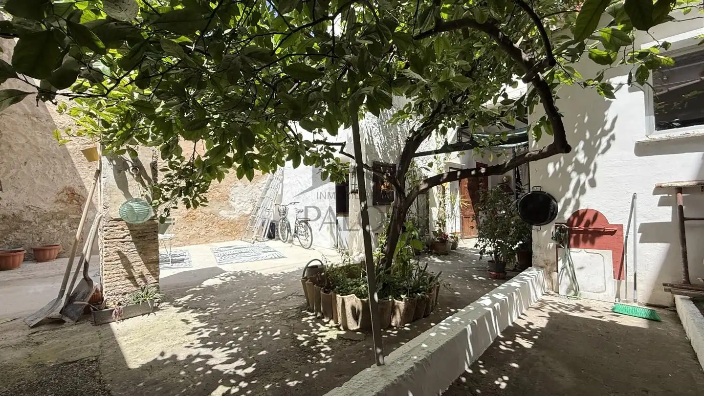 Vista exterior de Casa o chalet en venta en Carcaixent con Aire acondicionado, Jardín privado y Terraza