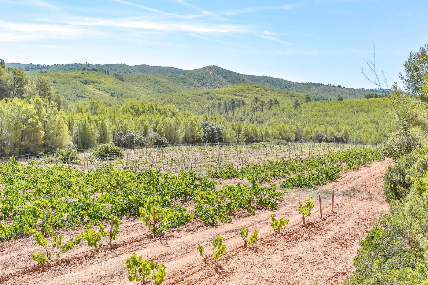 Finca rústica en venda en Masllorenç