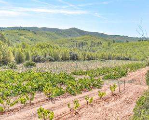 Finca rústica en venda en Masllorenç