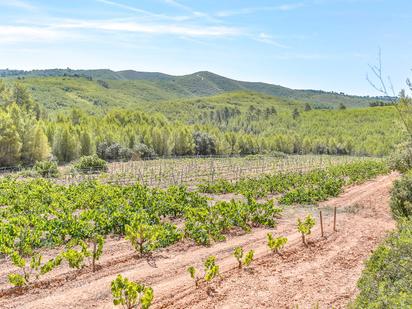 Country house for sale in Masllorenç