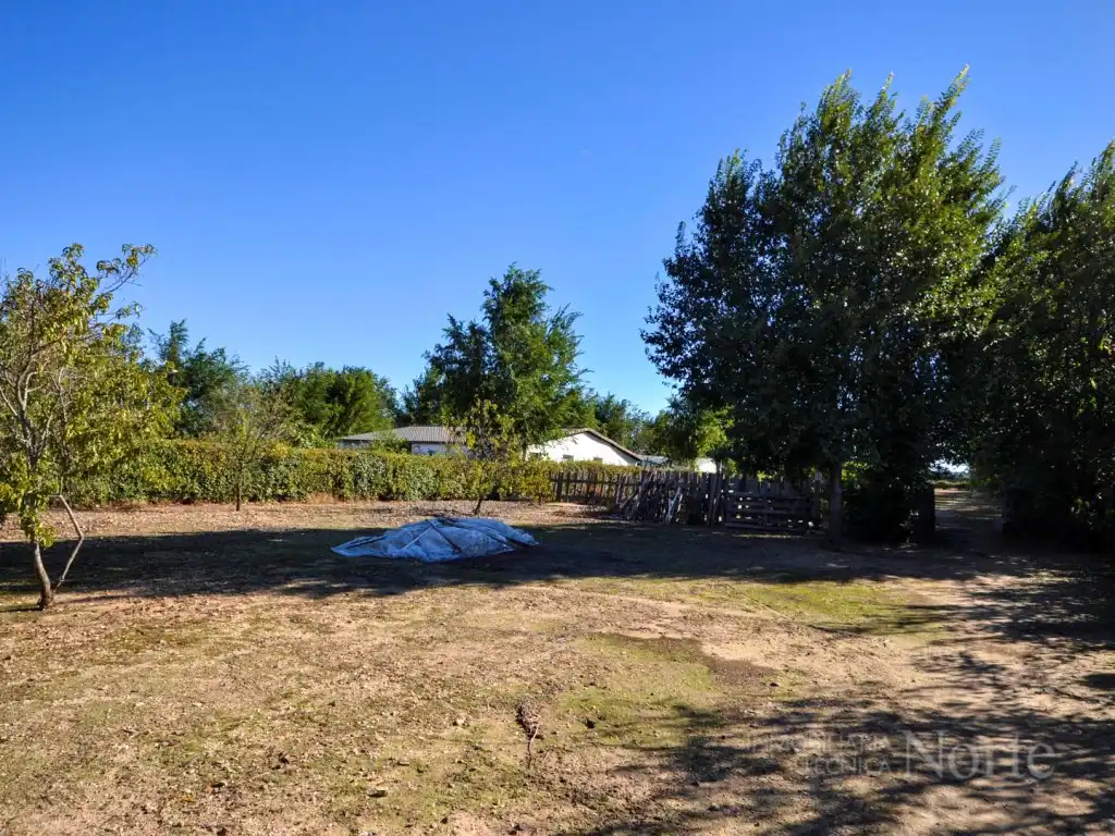 Casa o chalet en venta en Fuente El Saz de Jarama, Madrid