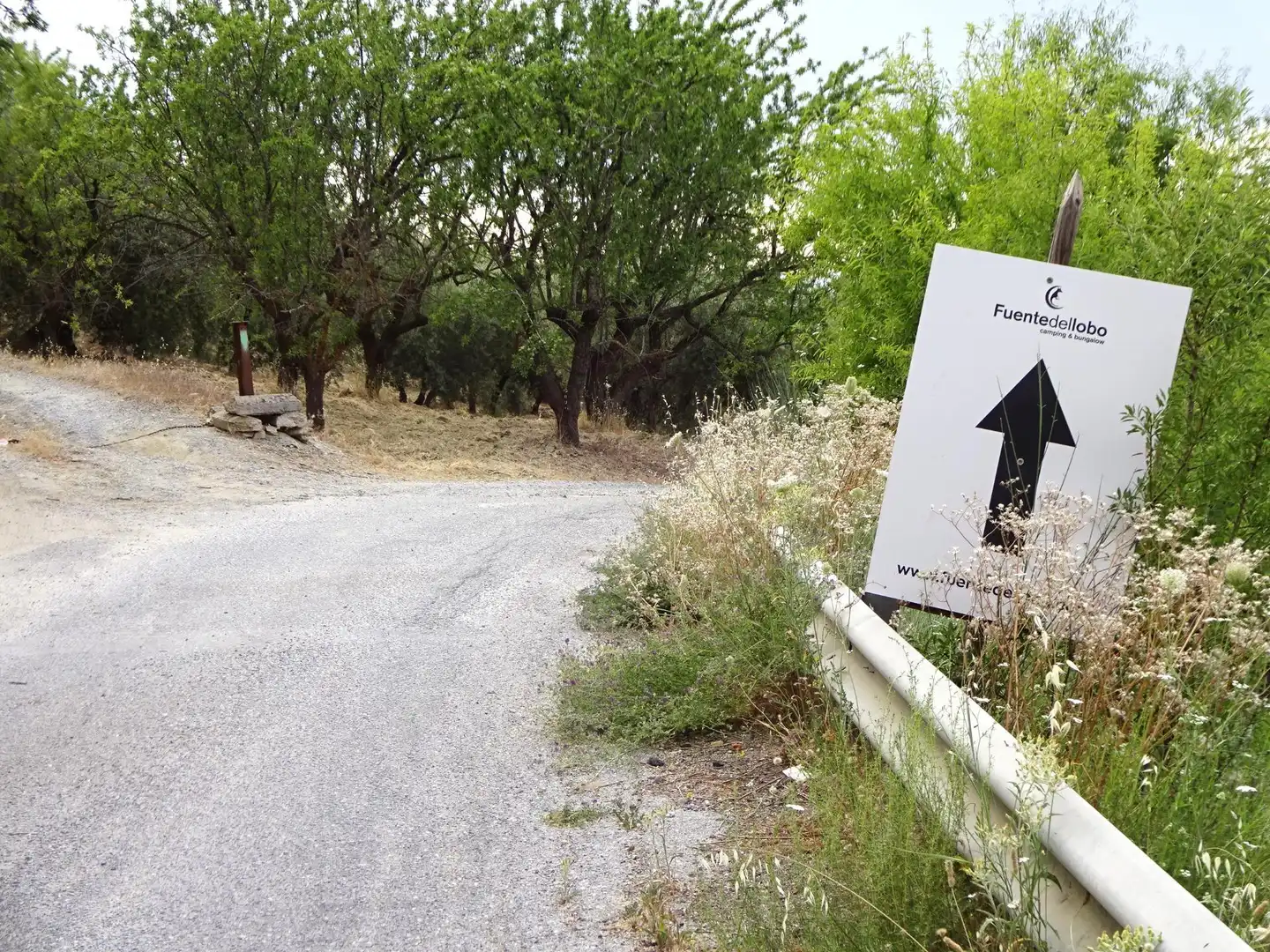Lands and plots for sale in Pinos Genil, imagen 14