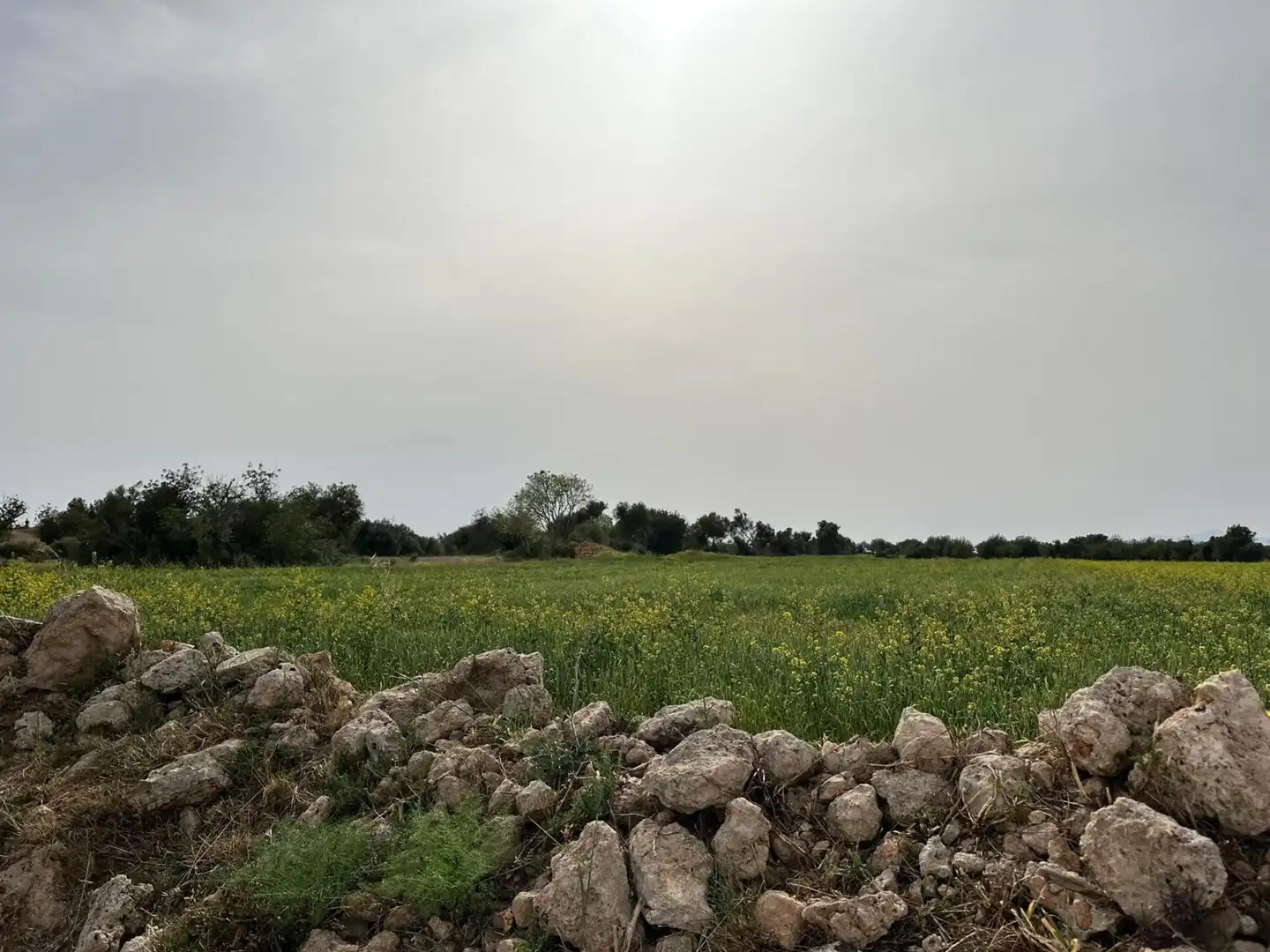 Country homes for sale in Algaida  with Private garden