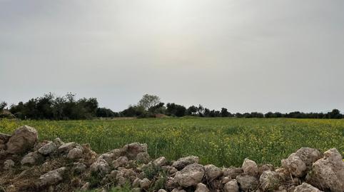 Foto 2 de Finca rústica en venda a Camí de Muntanya, Algaida, Illes Balears