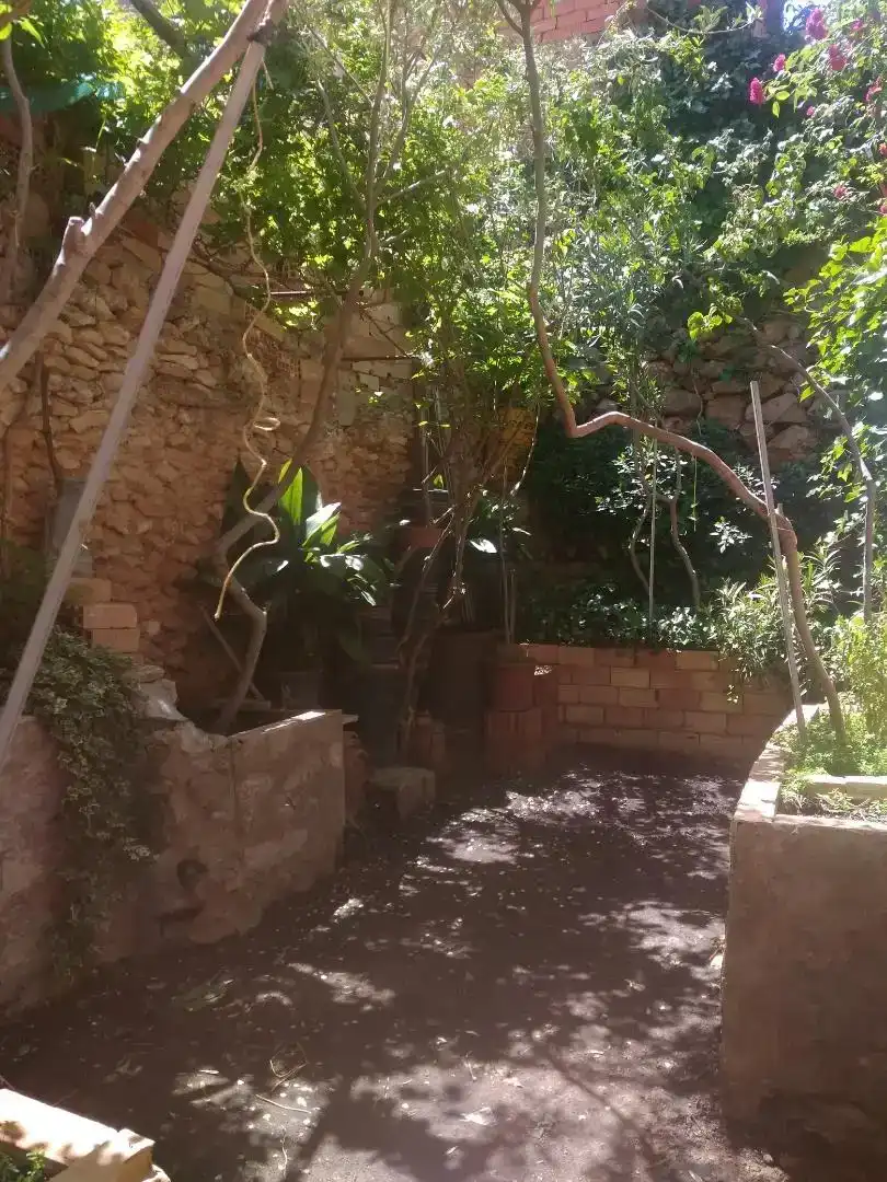 Jardín de Casa adosada en venta en Alpera con Jardín privado