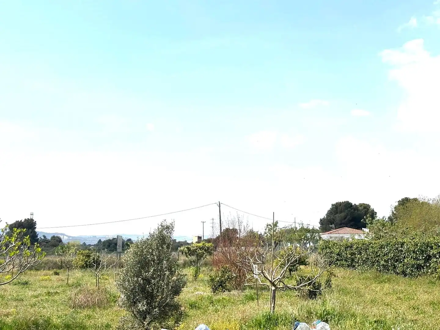 Rural land for sale in Santa Oliva, imagen 17