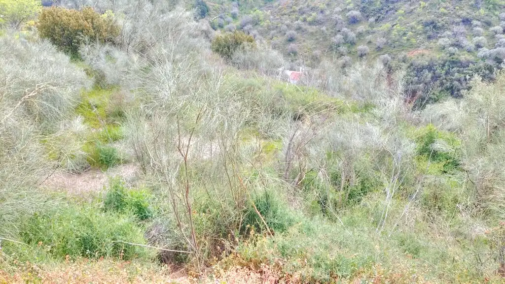 Terreni e lotti in vendita a Comares, imagen 18