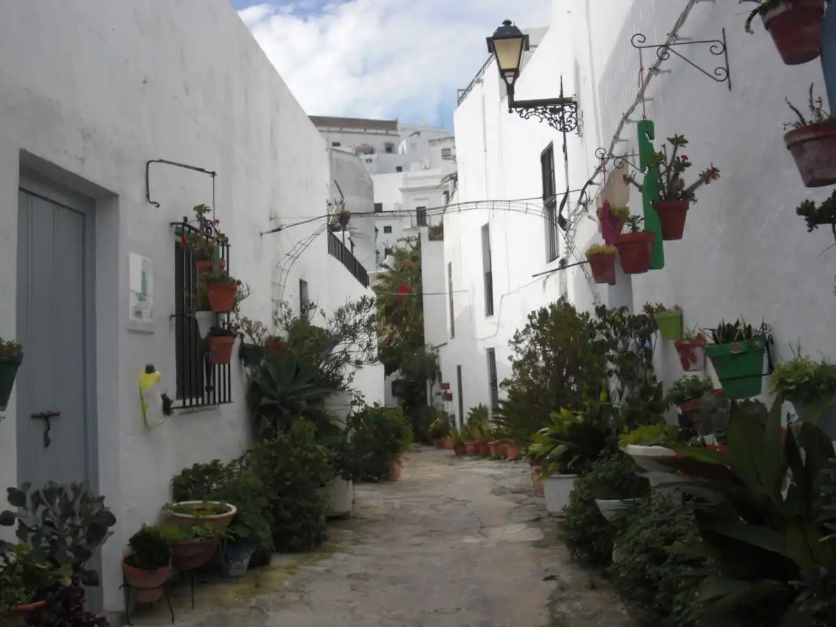 Exterior view of Apartments for sale in Vejer de la Frontera  with Storage room