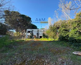 House or chalet for sale in Calle Colonia, Cuatro de Marzo