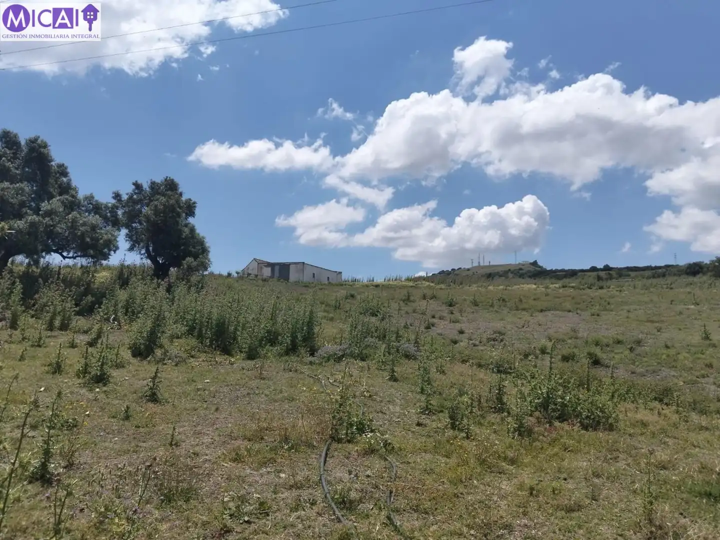 Terreny rústic en venda a Medina Sidonia, imagen 4